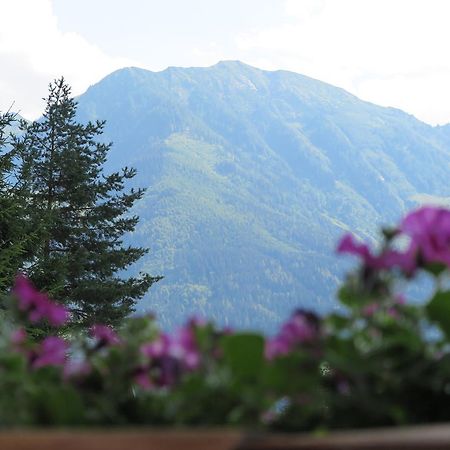 Ferienwohnung Haus Enzian St. Johann im Pongau Exterior foto