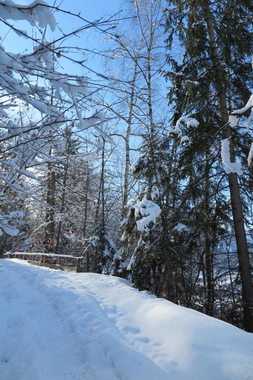 Ferienwohnung Haus Enzian St. Johann im Pongau Exterior foto