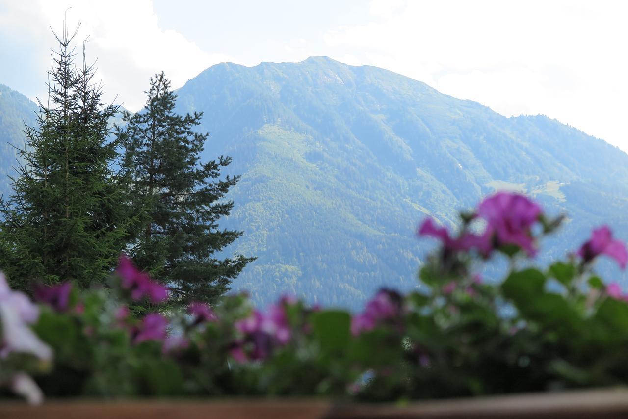 Ferienwohnung Haus Enzian St. Johann im Pongau Exterior foto